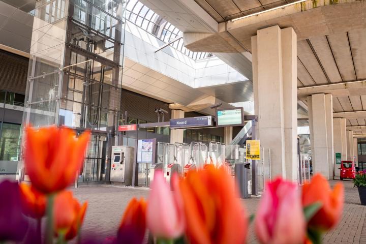 Centrumgebied Amsterdam Noord